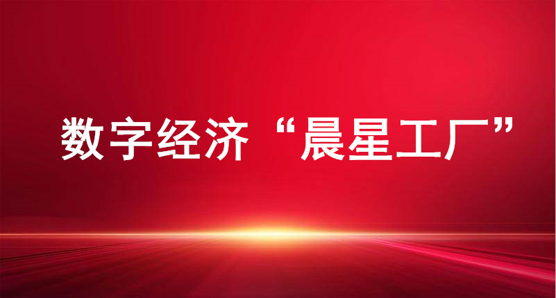 裕航合金、長(zhǎng)壽花食品入選山東省首批數(shù)字經(jīng)濟(jì)“晨星工廠”